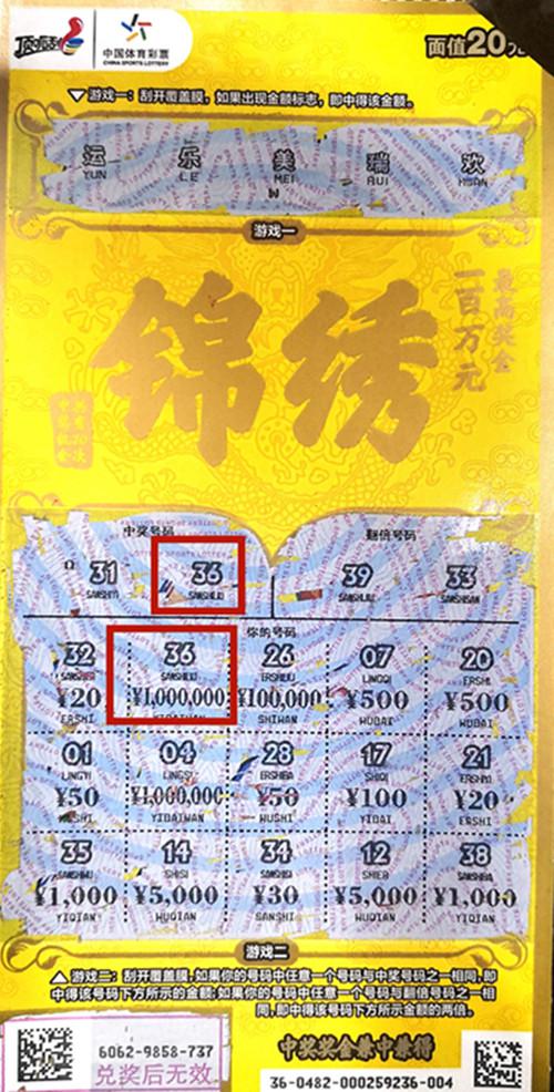 王中王六肖一碼期期中的奧秘與探索，王中王六肖一碼期奧秘揭秘與探索