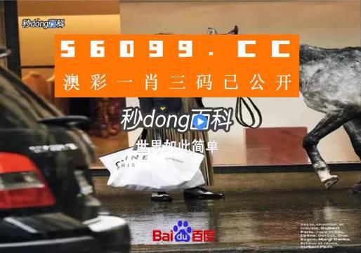 新澳一碼三中三資料，探索與解析，新澳一碼三中三資料解析與探索