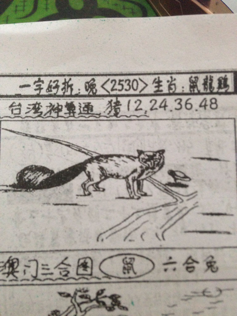 揭秘劉伯溫的生肖，一場(chǎng)看圖尋特之旅，揭秘劉伯溫生肖之謎，一場(chǎng)生肖圖片探尋之旅