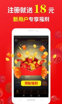 王中王中特一肖，揭秘背后的故事與神秘魅力，揭秘王中王中特一肖背后的故事與獨特魅力