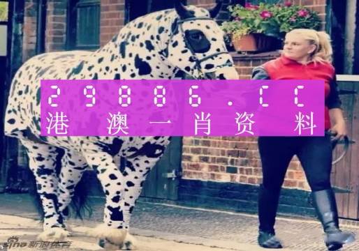 澳彩平肖王中王，一笑一碼的秘密與SEO優(yōu)化策略，澳彩平肖王中王，揭秘一笑一碼背后的SEO優(yōu)化策略