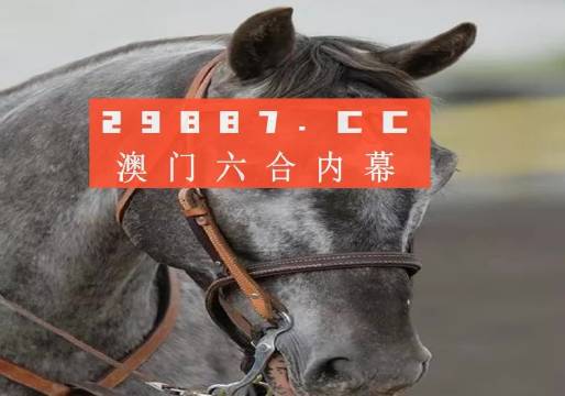 澳門一一碼一特一中準選今晚，探索真實有效的選擇與策略，澳門今晚一特一中準選碼，真實有效的選擇與策略探索