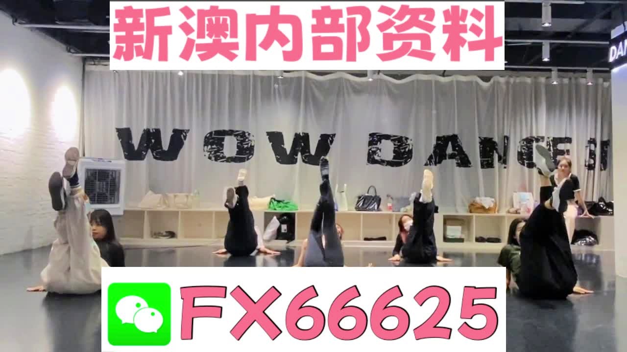 一碼一肖，揭秘100%精準資料的秘密，揭秘百分百精準資料，一碼一肖的神秘面紗