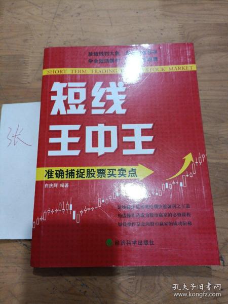 王中王平特一肖秀家網，深度解析與SEO優(yōu)化策略，王中王平特一肖秀家網，深度解析與SEO優(yōu)化策略指南