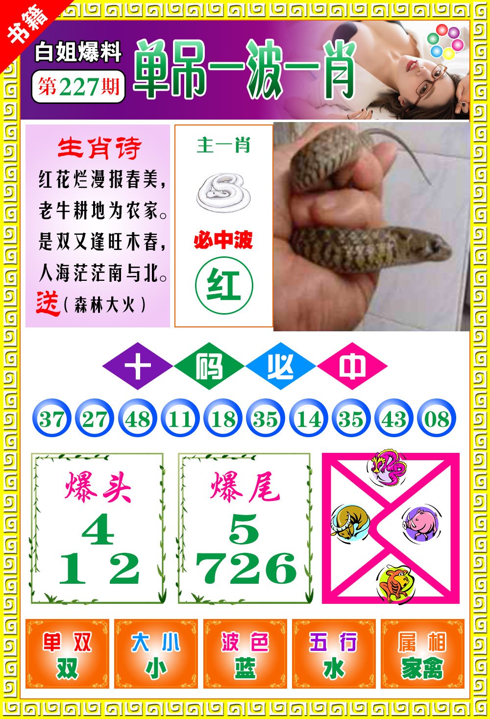 王中王免費(fèi)開獎(jiǎng)一肖結(jié)果，揭秘彩票背后的秘密，揭秘王中王彩票開獎(jiǎng)內(nèi)幕，一肖結(jié)果背后的秘密揭曉