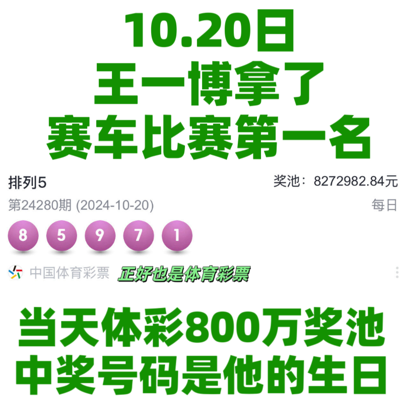 王中王一肖資料中特馬——深度解析與SEO洞察，王中王一肖特馬深度解析與SEO洞察揭秘
