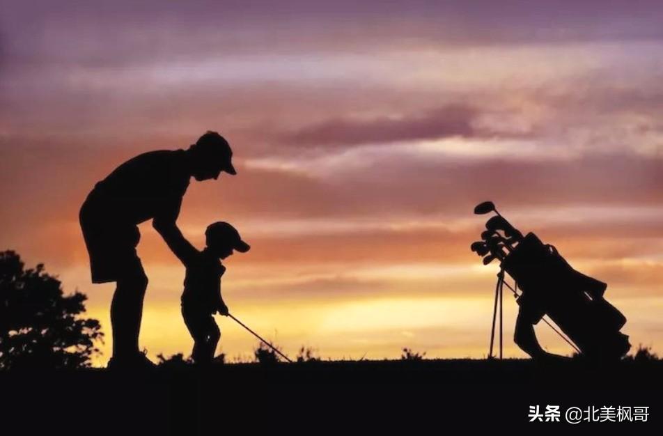 森林高手王中王與神秘生肖——深度解讀背后的故事與秘密，森林高手王中王與神秘生肖，故事背后的深度解讀與秘密探尋