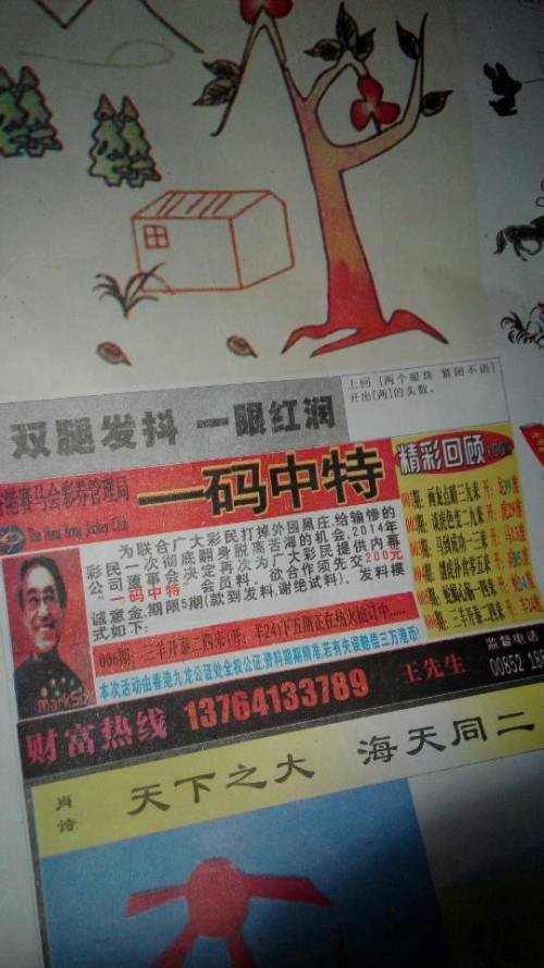 欲錢詩猜一肖——探尋王中王的奧秘，探尋王中王的奧秘，欲錢詩猜一肖