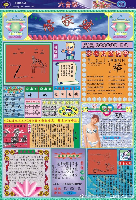 王中王四肖三期開特一，深度解析與探索，王中王四肖三期開特一，深度剖析與探索揭秘