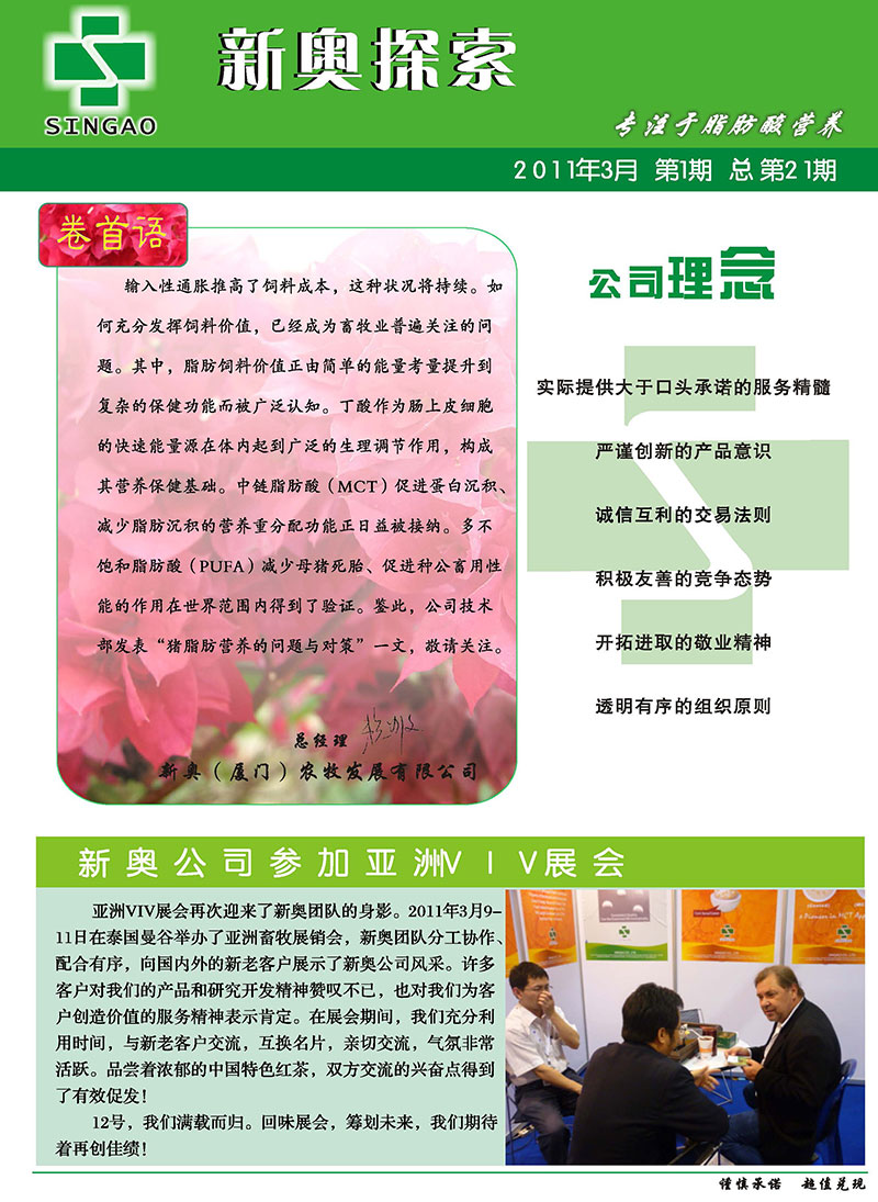 2025新澳正版資料精準(zhǔn)解析，2025新澳正版資料精準(zhǔn)解析手冊(cè)
