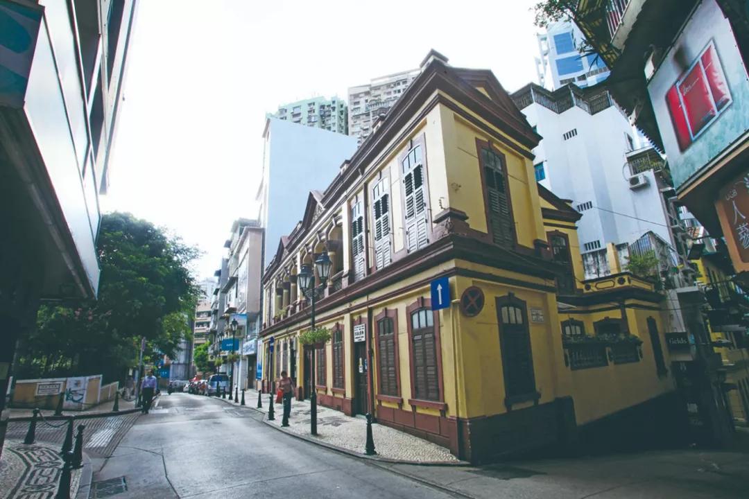 澳門(mén)今晚必開(kāi)一肖，揭秘生肖運(yùn)勢(shì)與預(yù)測(cè)邏輯，澳門(mén)今晚生肖預(yù)測(cè)揭秘，生肖運(yùn)勢(shì)與預(yù)測(cè)邏輯分析