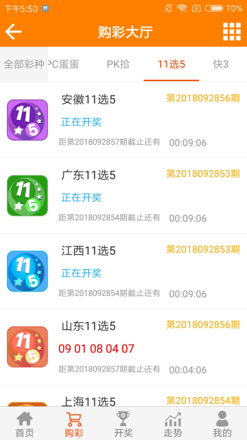 王中王論壇一平特一肖，深度解析與SEO策略，王中王論壇一平特一肖深度解析與SEO策略探討
