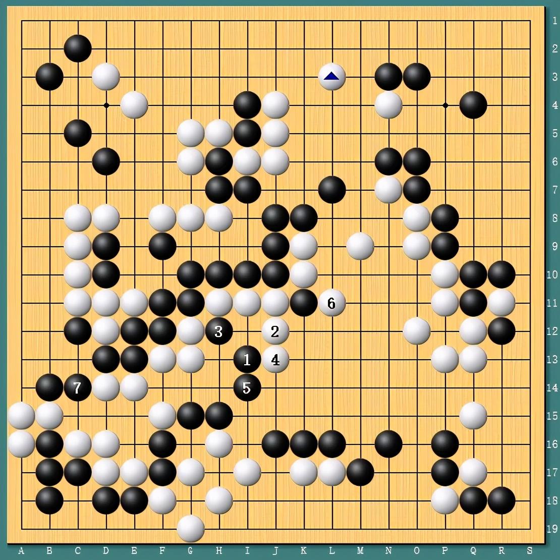 王中王四肖一碼資料論壇，探索與解析，王中王四肖一碼資料論壇，深度探索與解析