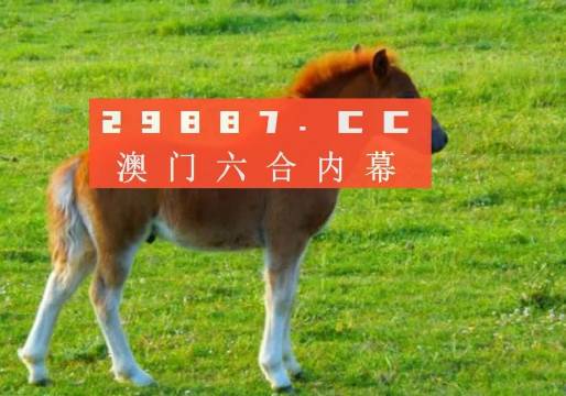 新奧門一肖一馬平特大全，揭秘?zé)衢T關(guān)鍵詞背后的故事，揭秘新澳門熱門關(guān)鍵詞背后的故事，一肖一馬平特大全