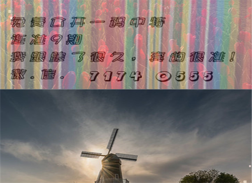 王中王四肖三期必出一期，揭秘彩票背后的秘密策略與技巧，揭秘彩票策略與技巧，王中王四肖三期必出一期之道