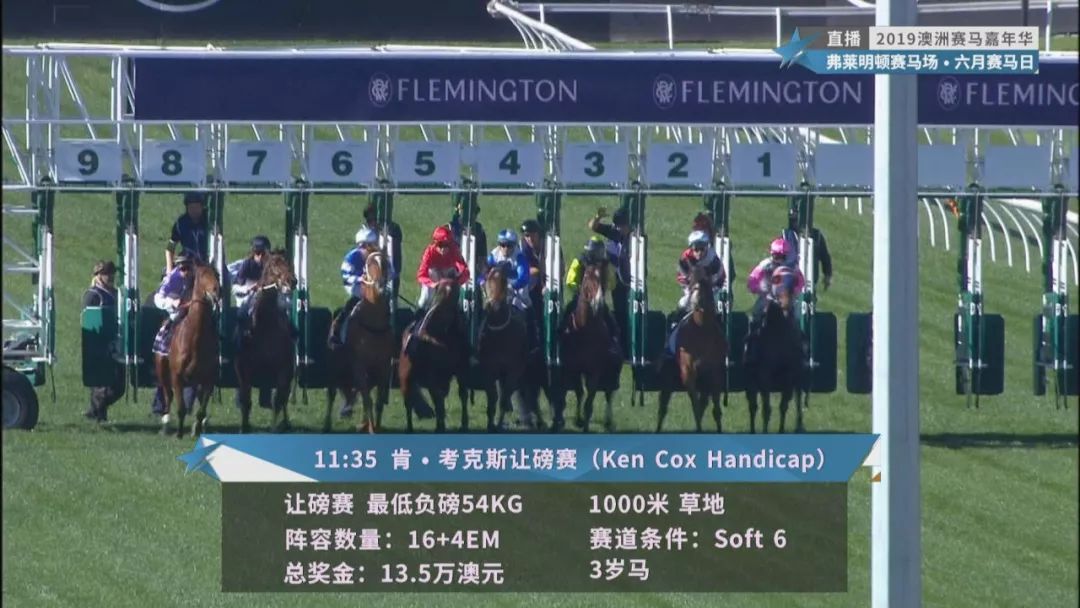 賽馬澳門六月開獎結(jié)果，探索與期待，澳門六月賽馬開獎揭曉，探索結(jié)果引期待