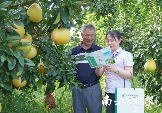 資料大全正版資料2025，一站式獲取所有你需要的信息，資料大全正版資料2025，一站式獲取所有信息總匯