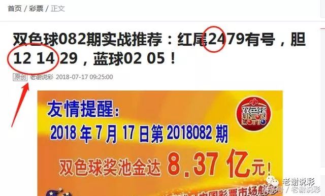王中王082期指一生肖——探尋生肖魅力，洞悉運勢奧秘，探尋生肖魅力，揭秘運勢奧秘——王中王生肖運勢解析 082期
