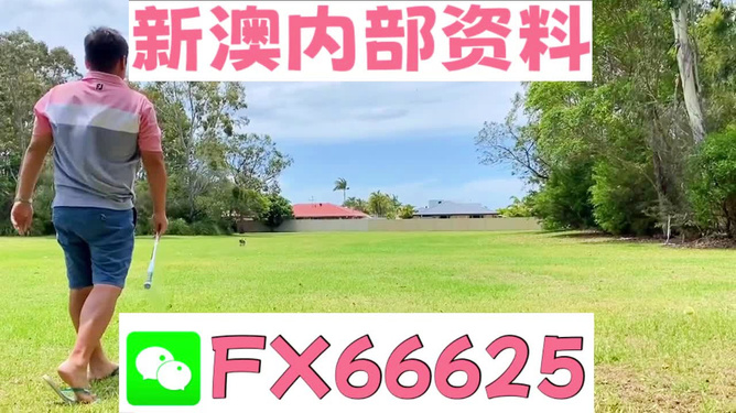 王中王一碼二肖，揭秘背后的秘密，揭秘王中王一碼二肖背后的秘密