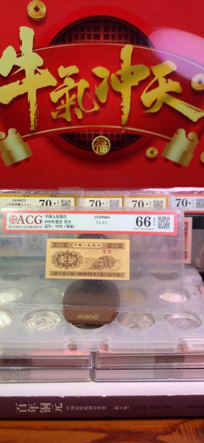 王中王平特一肖125，揭秘背后的故事與奧秘，揭秘王中王平特一肖背后的故事與奧秘 125號揭秘真相