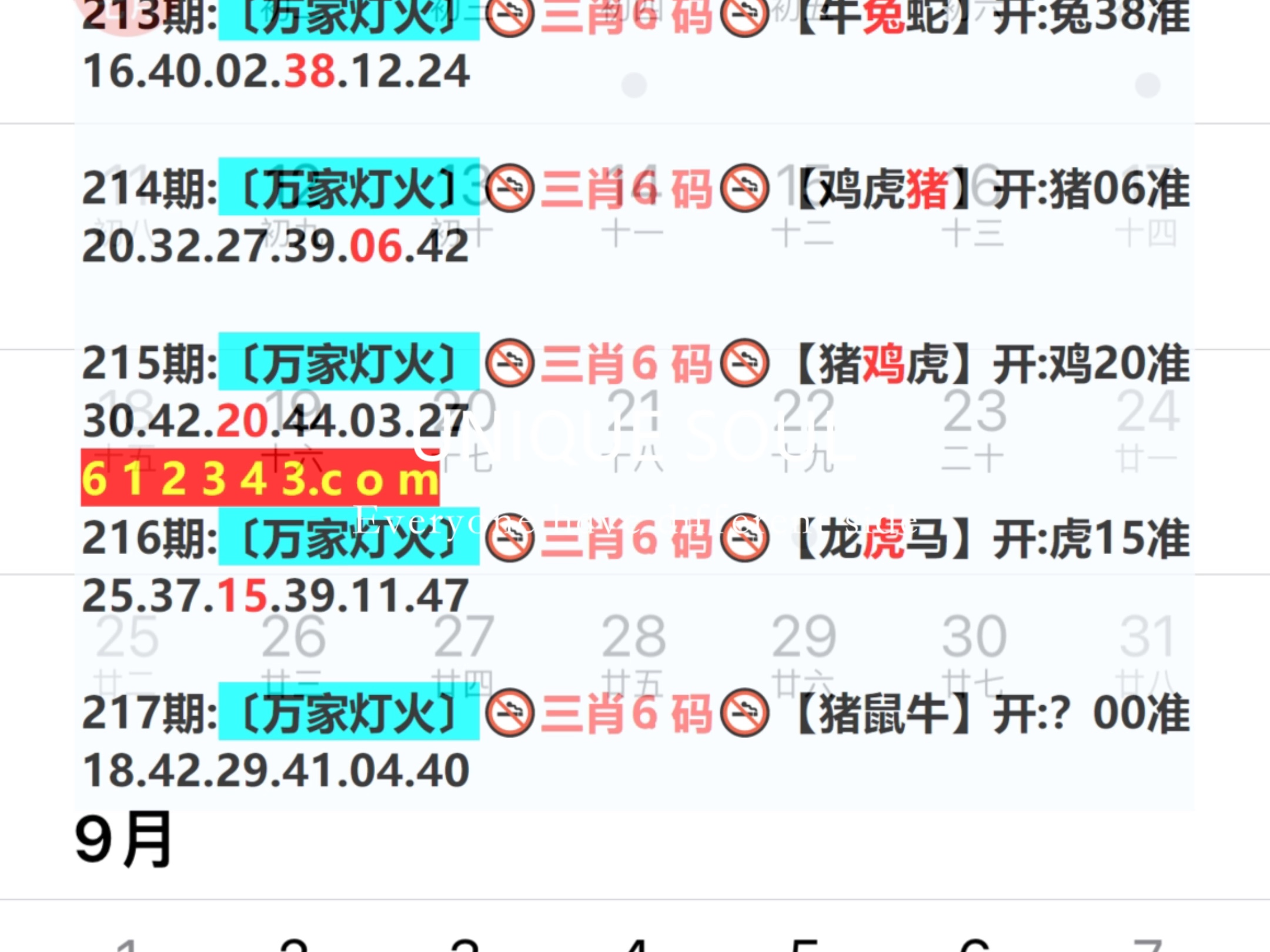 新奧今日六肖中特，揭秘背后的秘密與趨勢分析，揭秘新奧今日六肖中特背后的秘密與趨勢分析