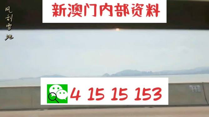 新澳2025最新資料生肖，深度解析與預(yù)測展望，新澳2025最新生肖資料深度解析與未來預(yù)測展望