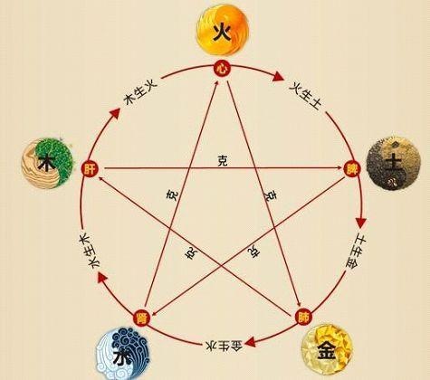 鐵算算盤4887最準(zhǔn)資料，揭秘其背后的秘密與優(yōu)勢(shì)，揭秘鐵算算盤4887，最準(zhǔn)資料背后的秘密與優(yōu)勢(shì)