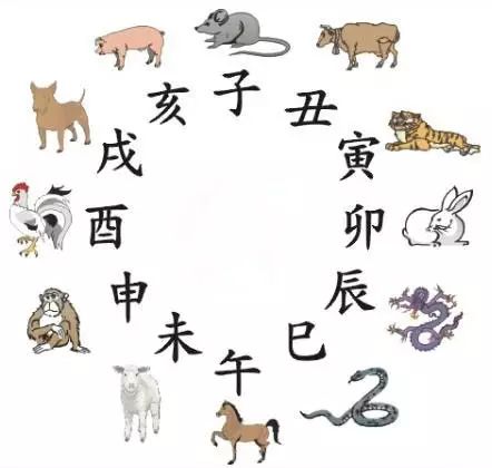 澳門天天彩期期精準(zhǔn)十二生肖預(yù)測——揭秘彩票秘密，澳門天天彩期期精準(zhǔn)十二生肖預(yù)測，揭秘彩票秘密之獨(dú)家解析