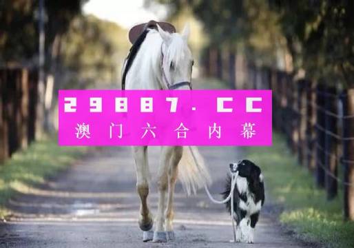 澳門彩的奧秘世界與SEO優(yōu)化策略探討 —— www.04812com的獨家解析，澳門彩奧秘與SEO優(yōu)化策略獨家解析，www.04812com深度探討
