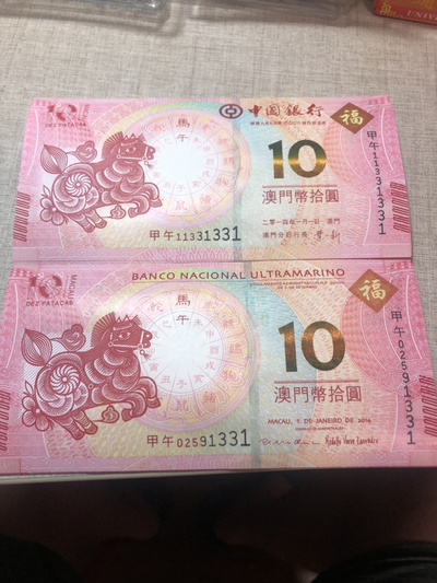揭秘明天澳門必中生肖的神秘面紗，揭秘明天澳門必中生肖的神秘秘密