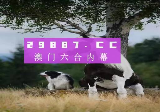 澳門 第17頁