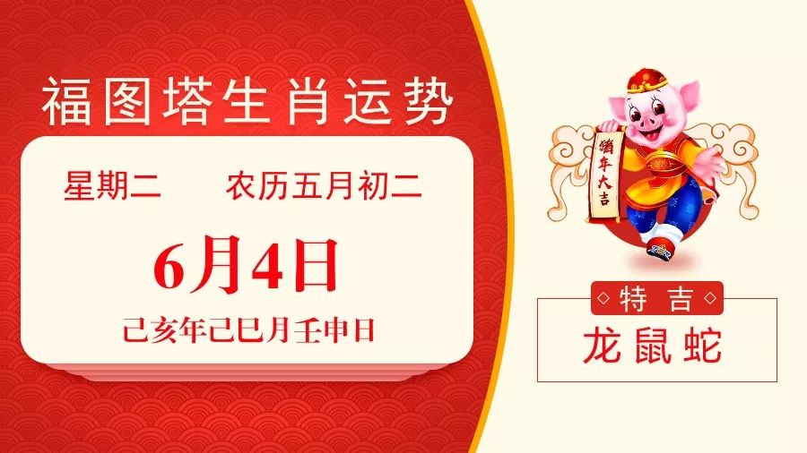 新澳特碼，羊牛虎各數(shù)10詳解與策略，新澳特碼，羊牛虎各數(shù)詳解與策略指南