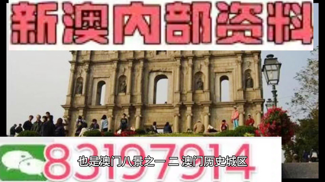 今晚澳門正版資料大全，全面解析與深度探索，澳門正版資料大全深度解析與探索之夜