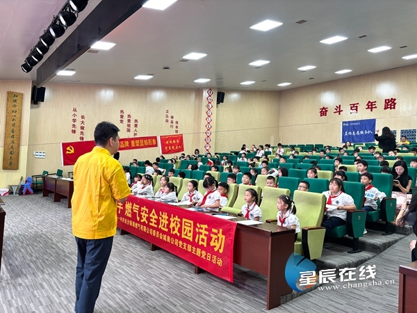新奧正版資料的SEO優(yōu)化文章，新奧正版資料的SEO優(yōu)化指南