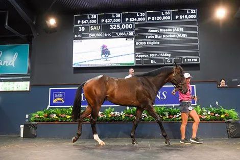 香港最精準的特馬資料，揭秘賽馬世界的秘密，香港精準特馬資料揭秘，賽馬世界的奧秘探秘