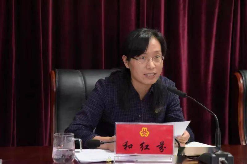 二四六香港期期中的資料解析與SEO優(yōu)化策略，香港期期二四六資料解析與SEO優(yōu)化策略探討