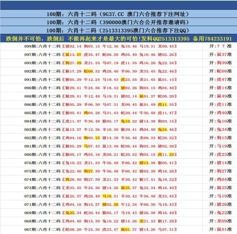 澳門無錯九肖今日搜狗，探索與解析，澳門無錯九肖今日搜狗，深度解析與探索