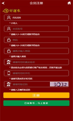 管家婆王中王開獎結果十記錄香港，深度分析與觀察，香港管家婆王中王開獎結果十記錄深度分析與觀察報告