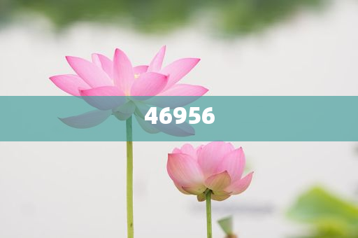 新奧集團(tuán)，邁向2025，天天開好彩的愿景與挑戰(zhàn)，新奧集團(tuán)邁向2025，實(shí)現(xiàn)天天開好彩的愿景與挑戰(zhàn)