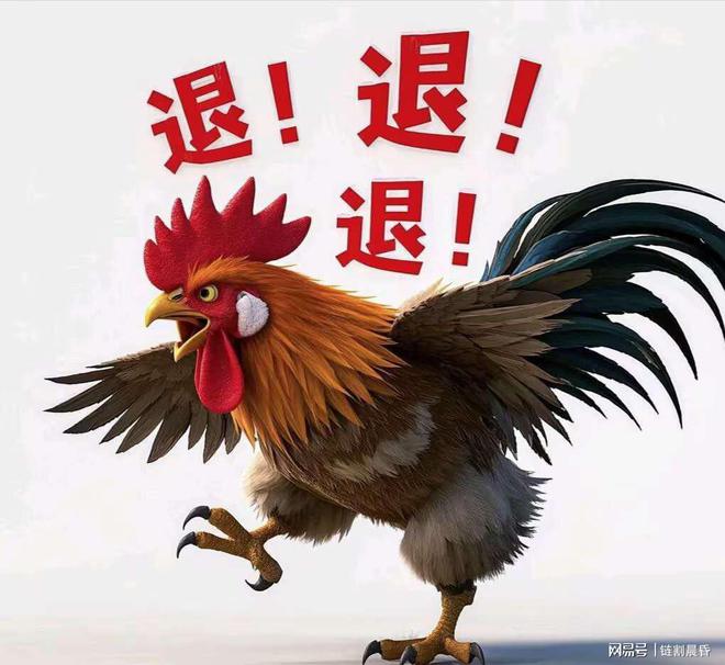 今晚特馬生肖必開資料，深度解析與預(yù)測，深度解析與預(yù)測，今晚特馬生肖必開資料揭秘