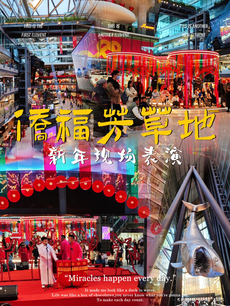 最新揭秘，2024新澳芳草地全方位資料詳解，揭秘2024新澳芳草地全方位資料，最新詳解