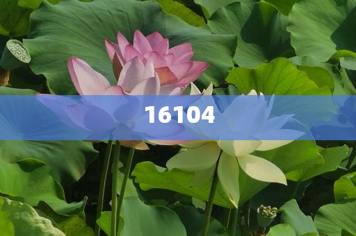 新奧600圖庫(kù)2025，探索與前瞻，新奧600圖庫(kù)2025，深度探索與未來(lái)展望