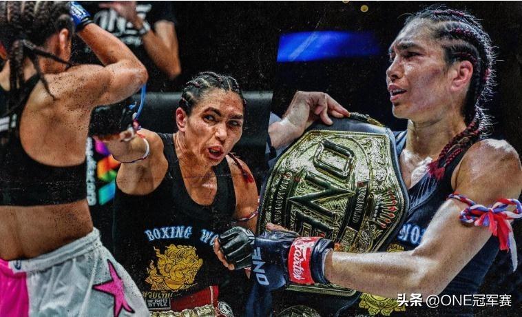 王中王免費公開精準大全——全方位解析與指南，王中王全方位解析與指南——免費公開精準大全