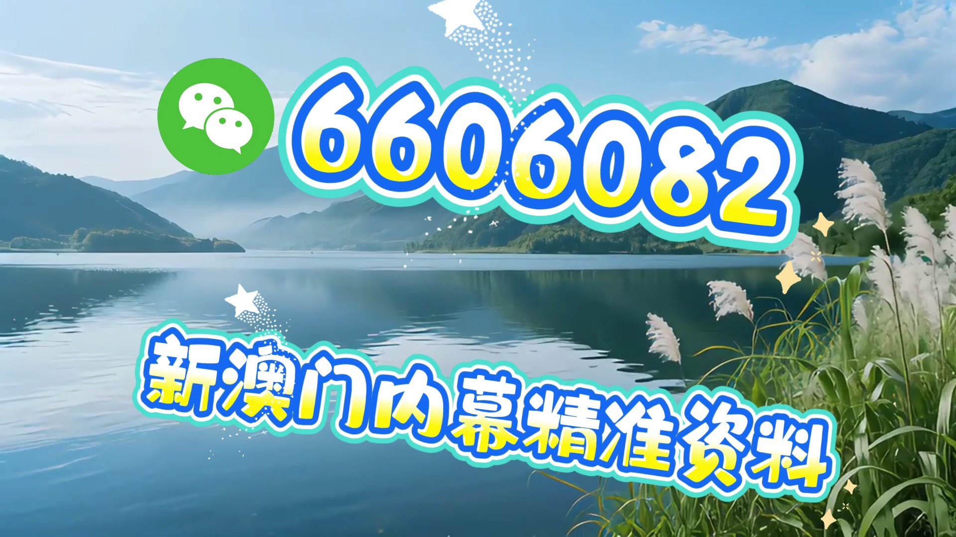 澳門今晚必開一肖一特，探索生肖彩票的魅力與策略，澳門生肖彩票探索，魅力揭秘與策略攻略