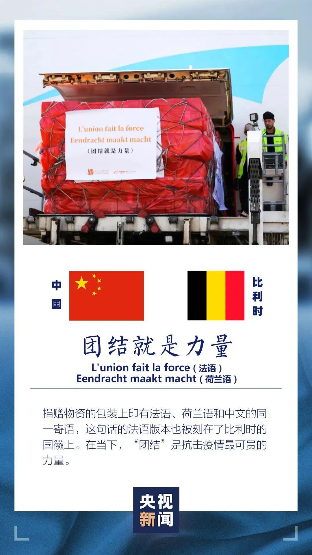 王中王資米斗一肖中持，深度解析與SEO優(yōu)化策略，王中王資米斗一肖中持深度解析與SEO優(yōu)化策略探討