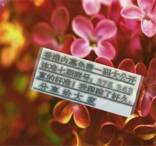 生肖彩票必勝法則