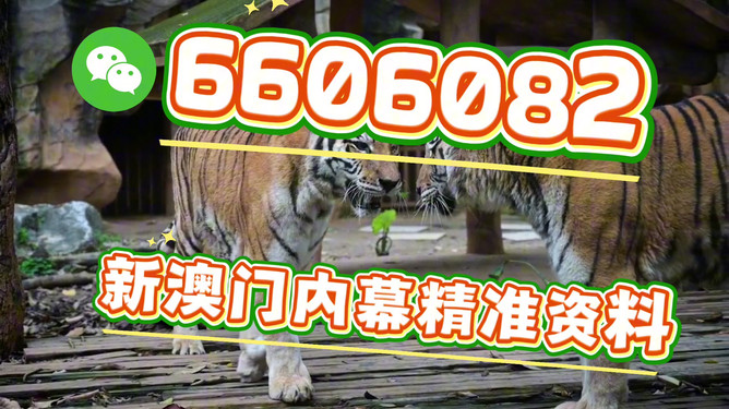 澳門今晚必開一肖一特，深度解析與預(yù)測，澳門今晚生肖特碼深度解析與預(yù)測，一肖一特必開趨勢探討