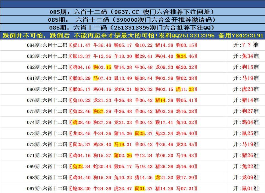 澳門六合正版資料，深度解析與探索，澳門六合正版資料深度解析與探索之旅