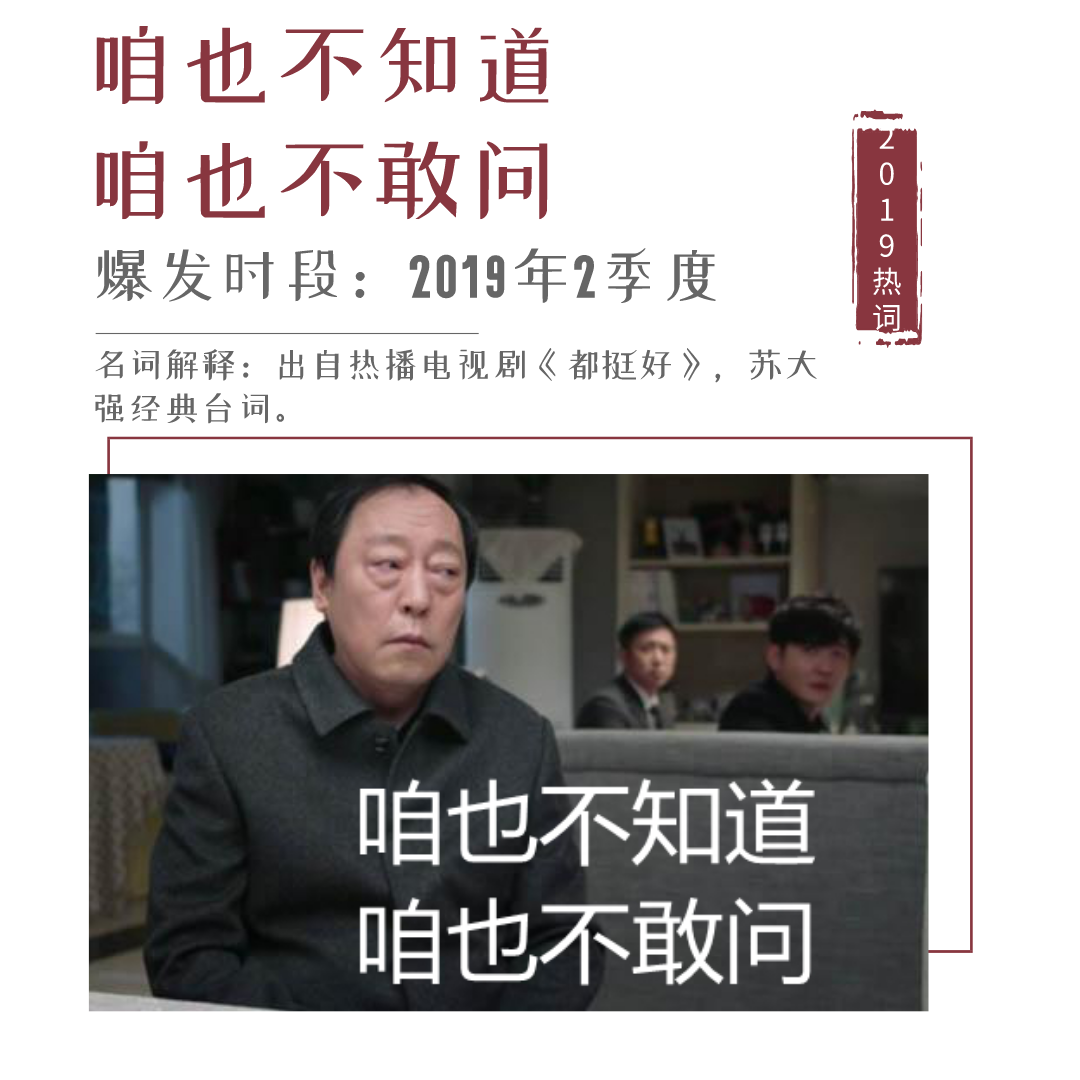 王中王一句解四肖，揭秘生肖奧秘與運(yùn)勢(shì)解析，揭秘生肖奧秘與運(yùn)勢(shì)解析，王中王一句解四肖探秘運(yùn)勢(shì)之道