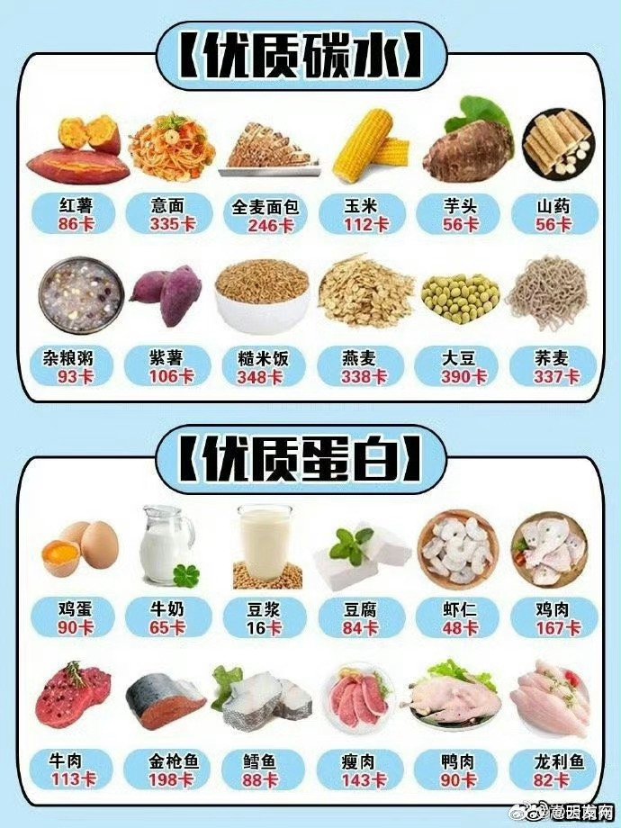 各種食物熱量表大全，健康飲食的必備指南，食物熱量表全面解析，健康飲食的必備指南